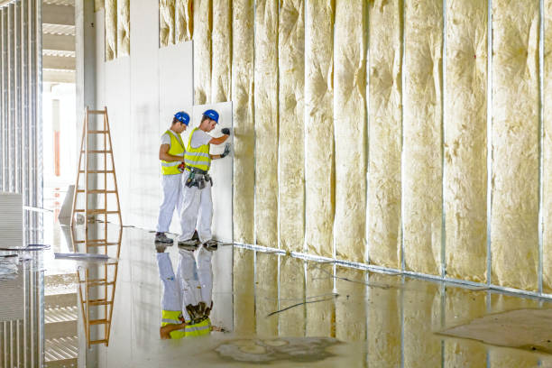 Best Attic Insulation Installation  in Mission, SD